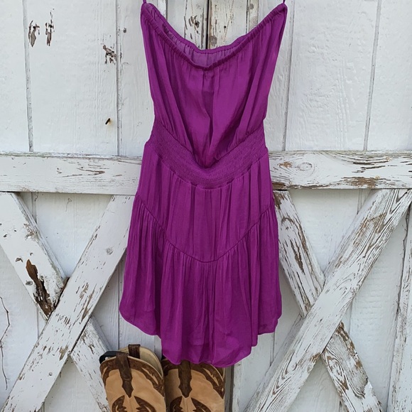 Naked Zebra - Picture 6 of 9